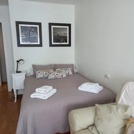 Apartamento Casa Guena Para 6 Personas En Con Wi-fi Y Ascensor * Cangas de Onis